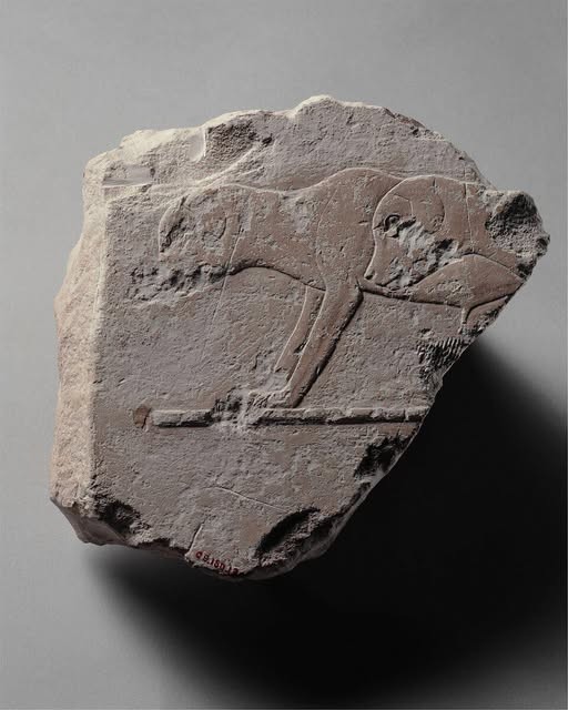 Fragment de relief avec deux jeunes chiens vers 2400-2323 av. J.-C.