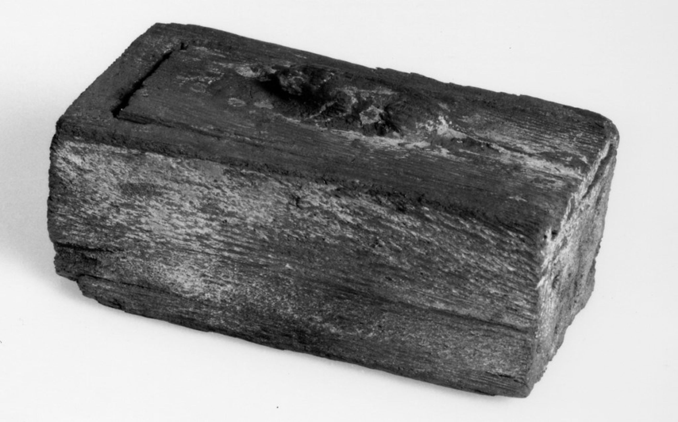 Sarcophage en bois anciennement ploychrome et la figure animale est recouverte a la feuille d or momie animale materiau organique lin 3e periode intermediaire
