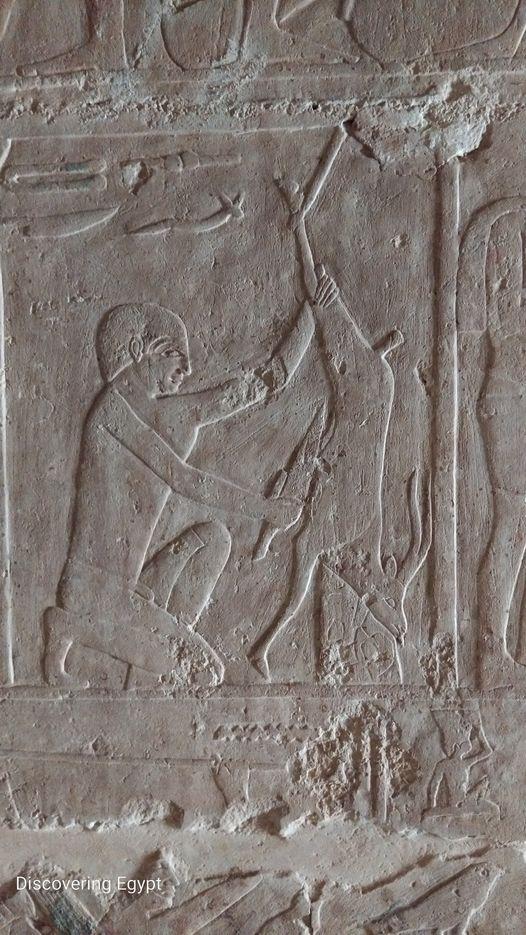 Cene de boucherie de gay tomb niankhkhnum et khnumhotep belle mastaba qui vaut le detour saqqara cimetiere d unas