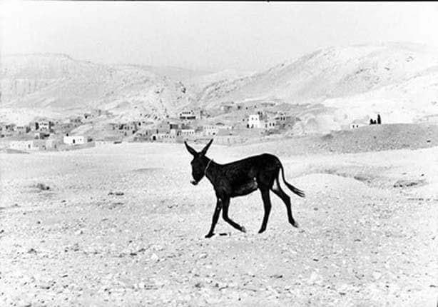 Qurna west bank luxor 1958